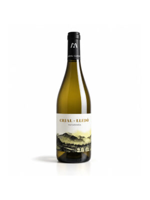 Vinos Jóvenes